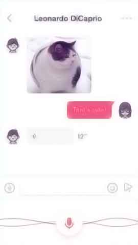 DDOS攻击